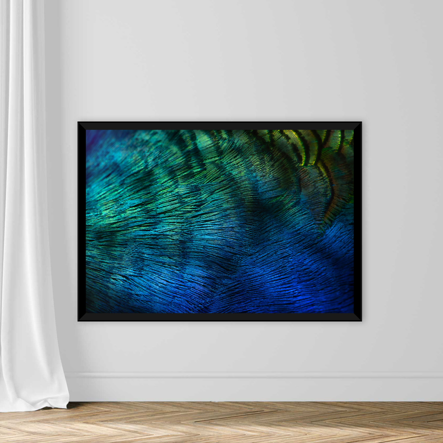 Peacock Feathers - Image 3