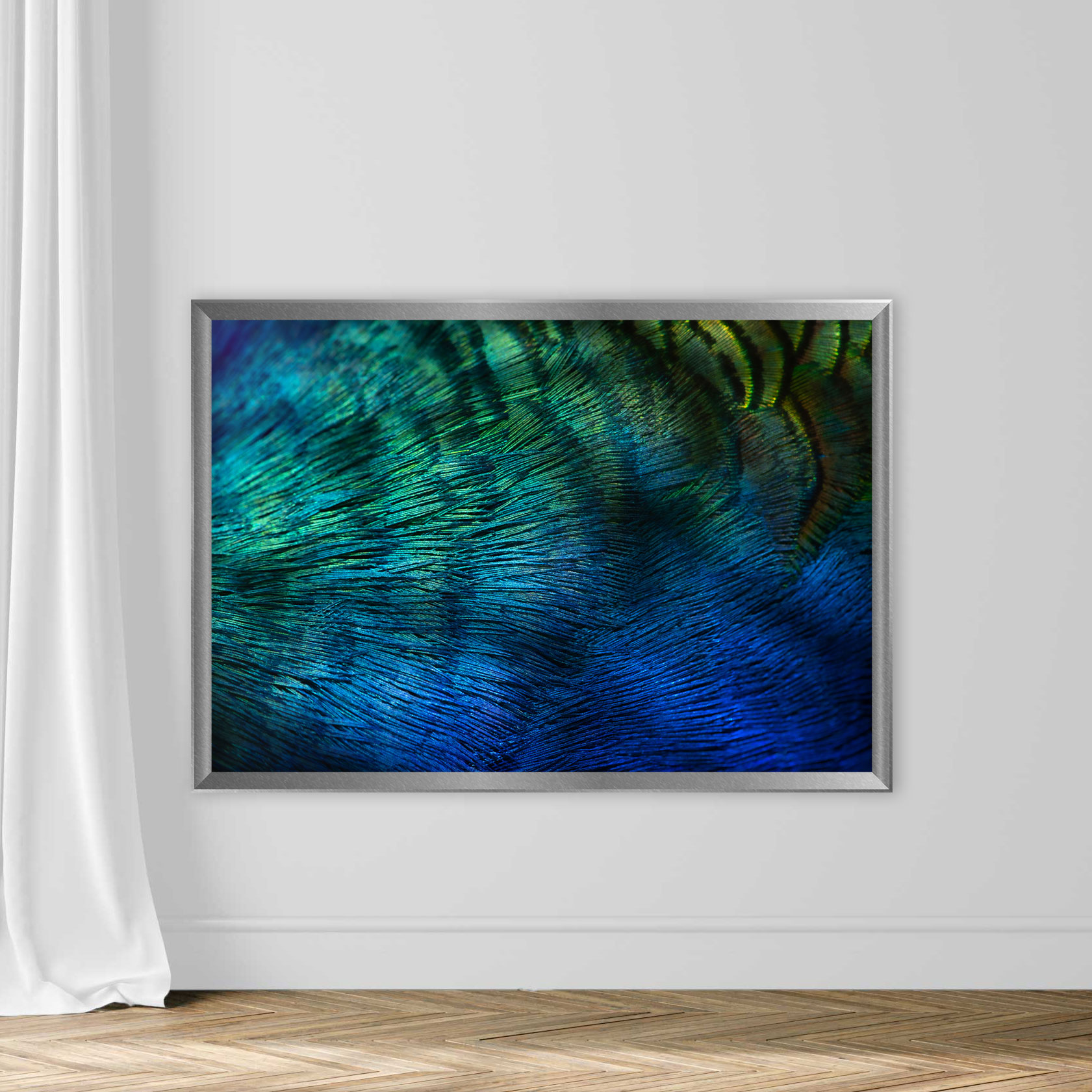 Peacock Feathers - Image 4