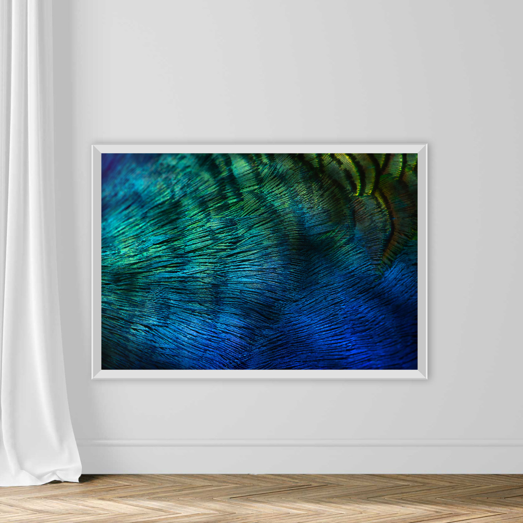 Peacock Feathers - Image 2