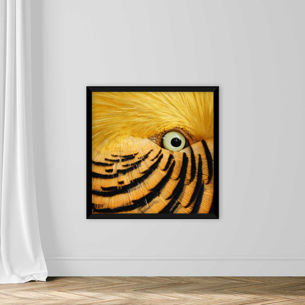 Feathery Flirt - Image 3