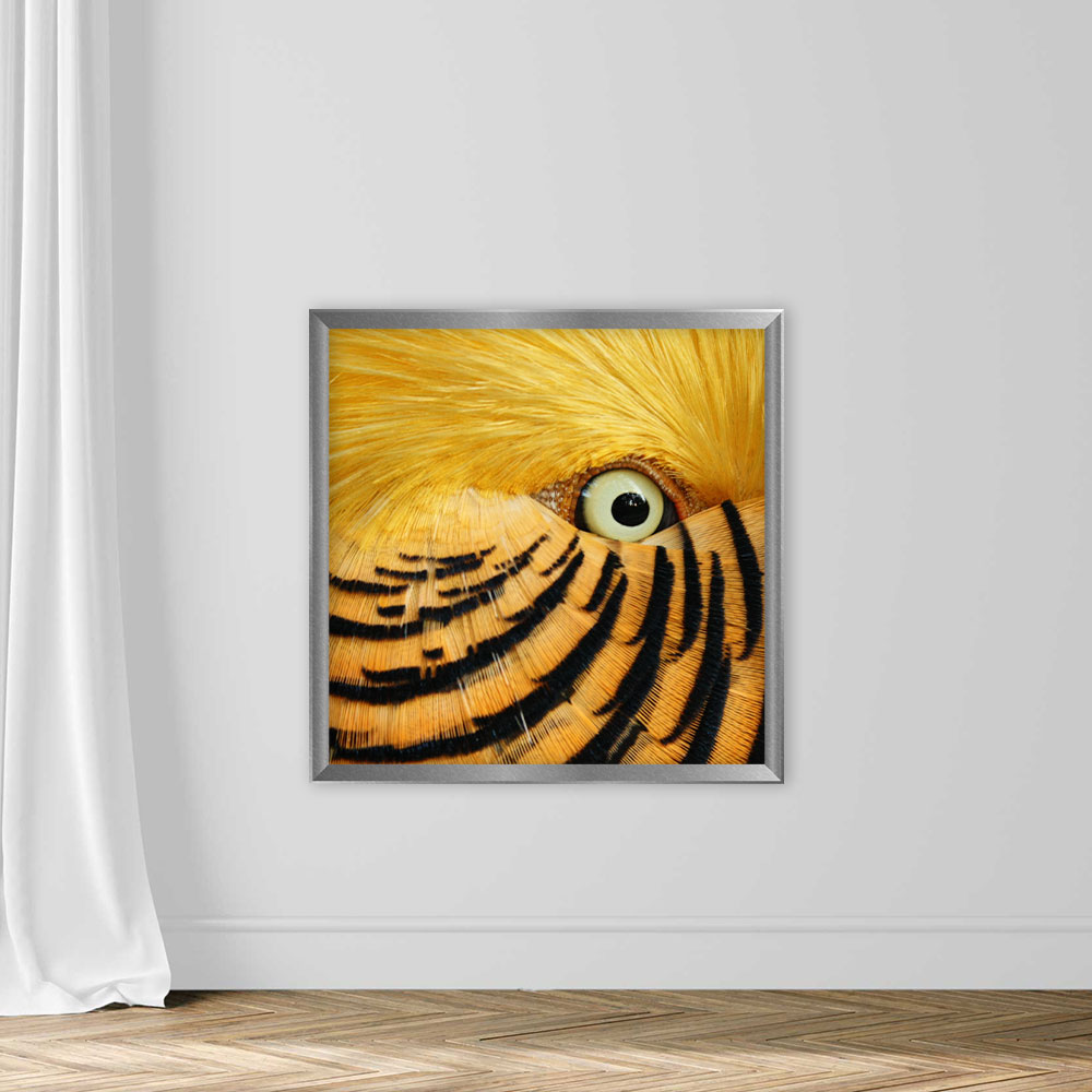 Feathery Flirt - Image 4