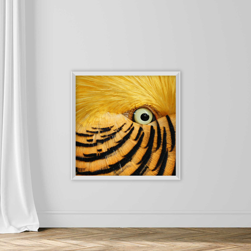 Feathery Flirt - Image 2