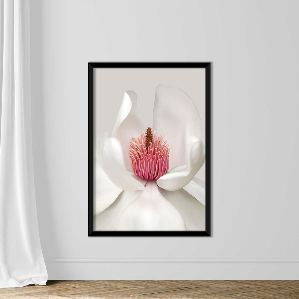 Magnolia - Image 3