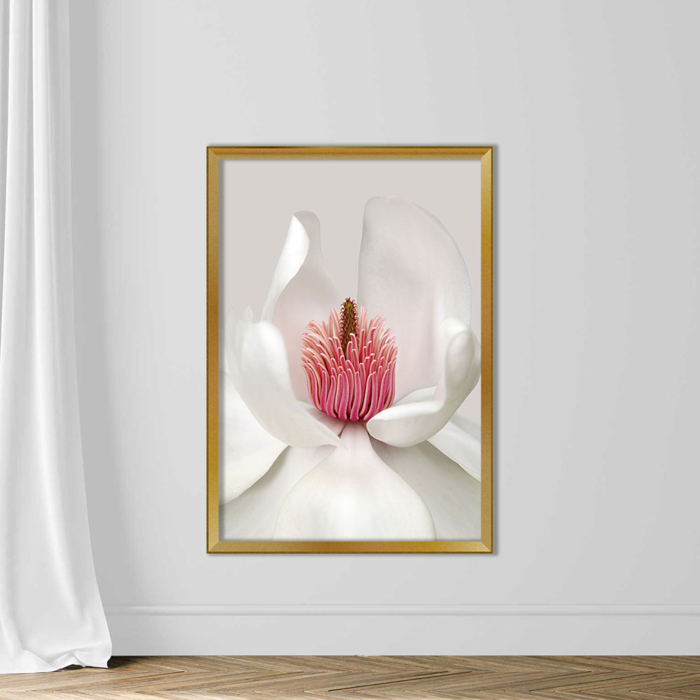 Magnolia - Image 5