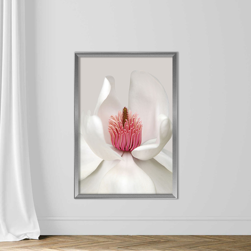 Magnolia - Image 4