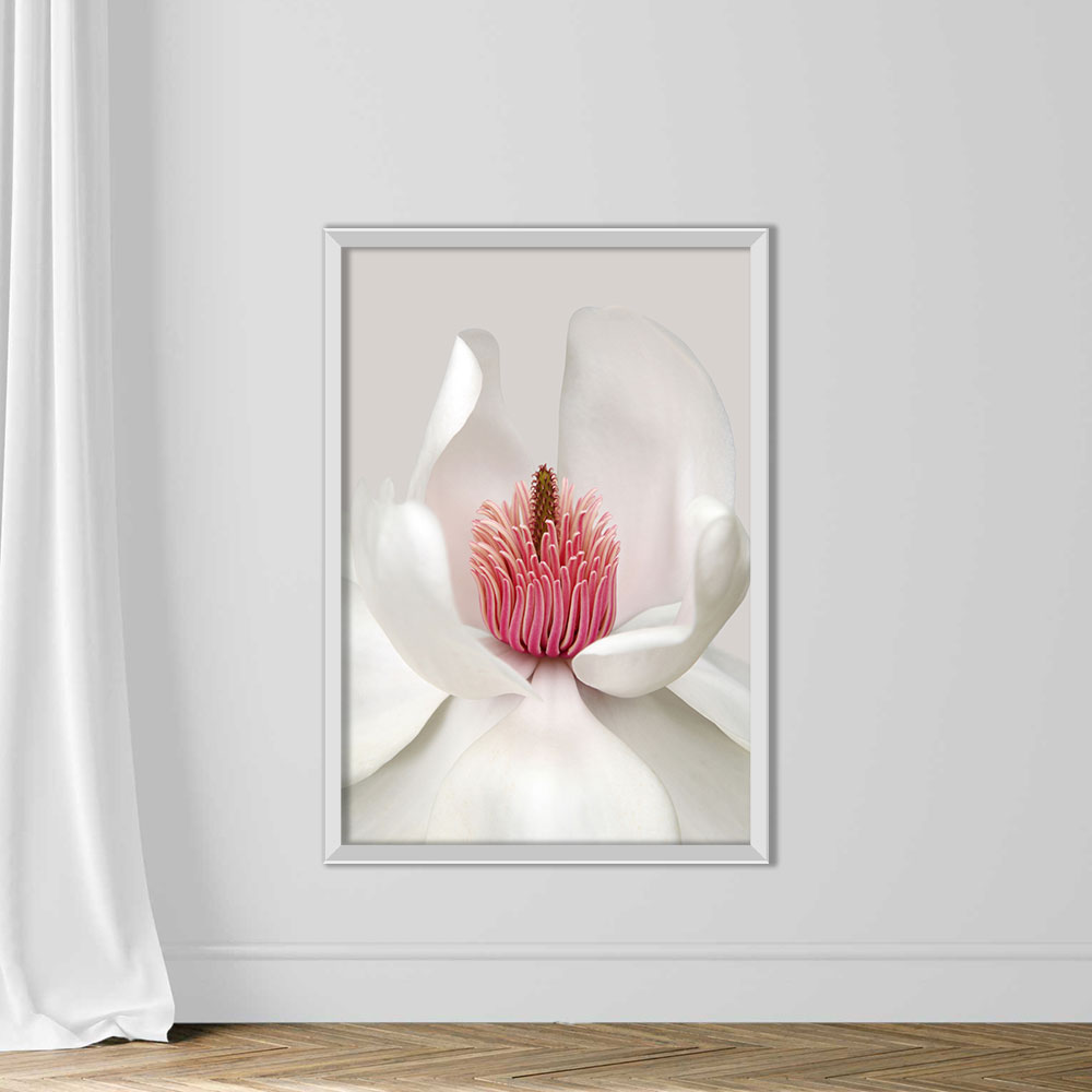 Magnolia - Image 2