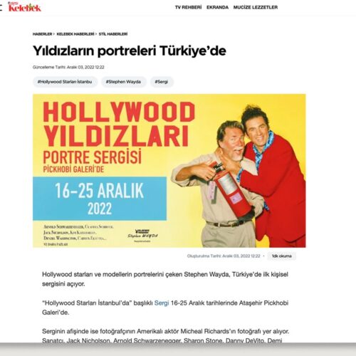 HurriyetKelebek