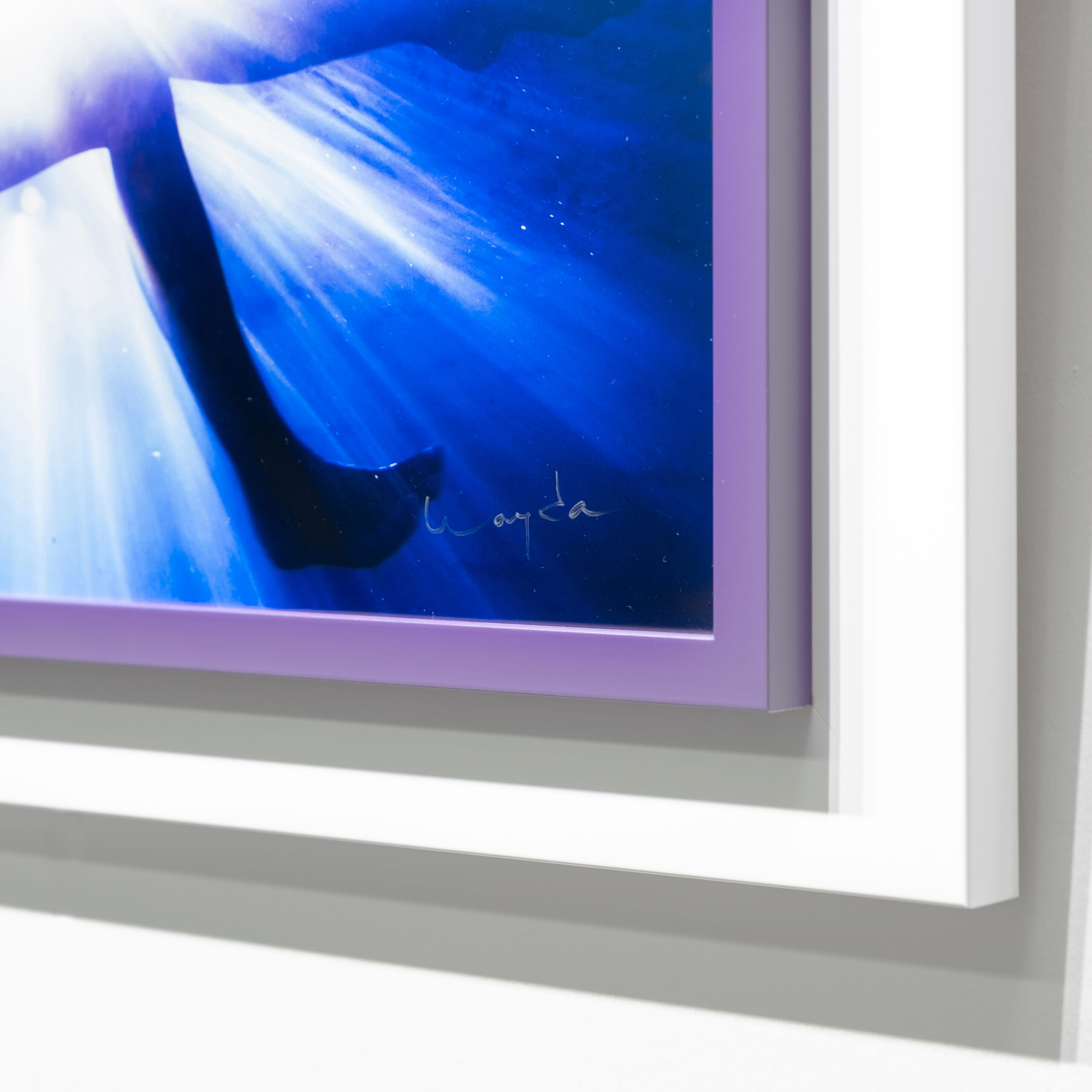 Jaclyn Swedberg | Sun Burst, 2012 - Image 2