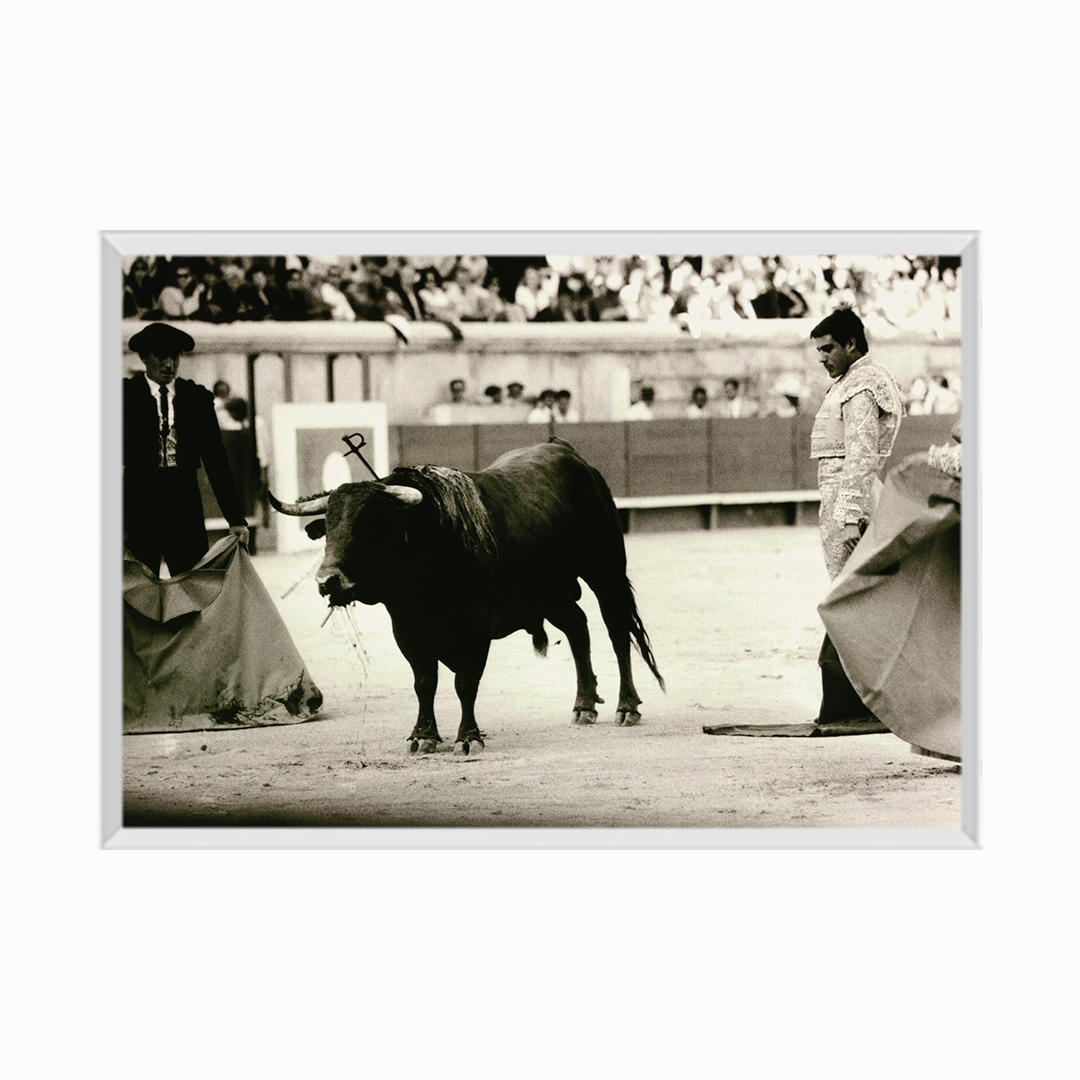 BULLFIGHT, NIMES, FRANCE