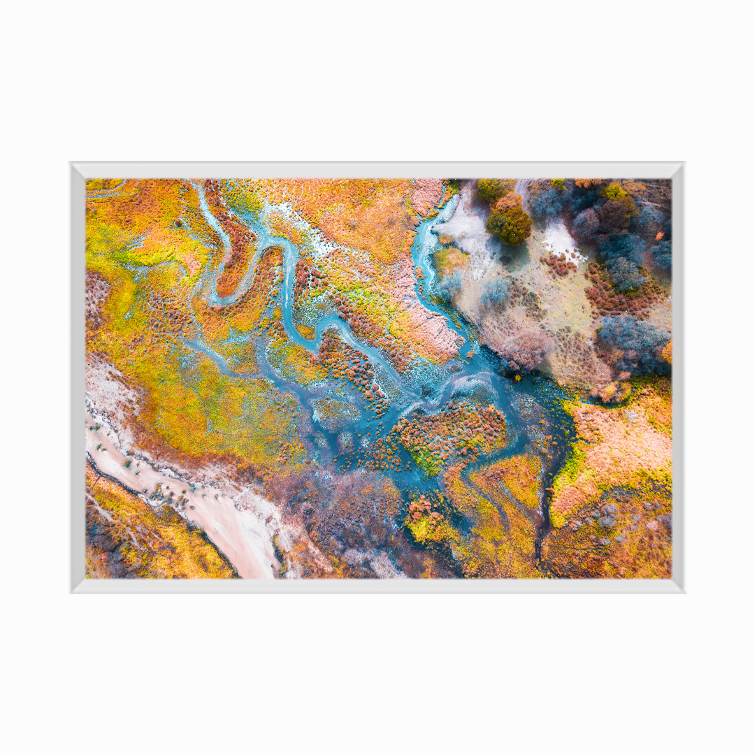 Aerial View of Multicolored Autumn