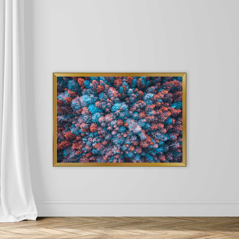 Colorful Forest - Image 5