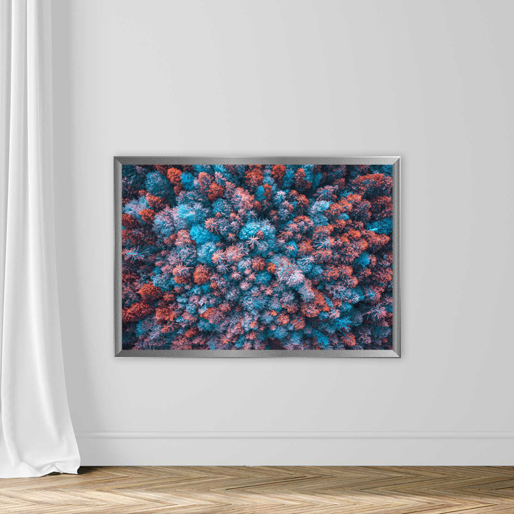 Colorful Forest - Image 4