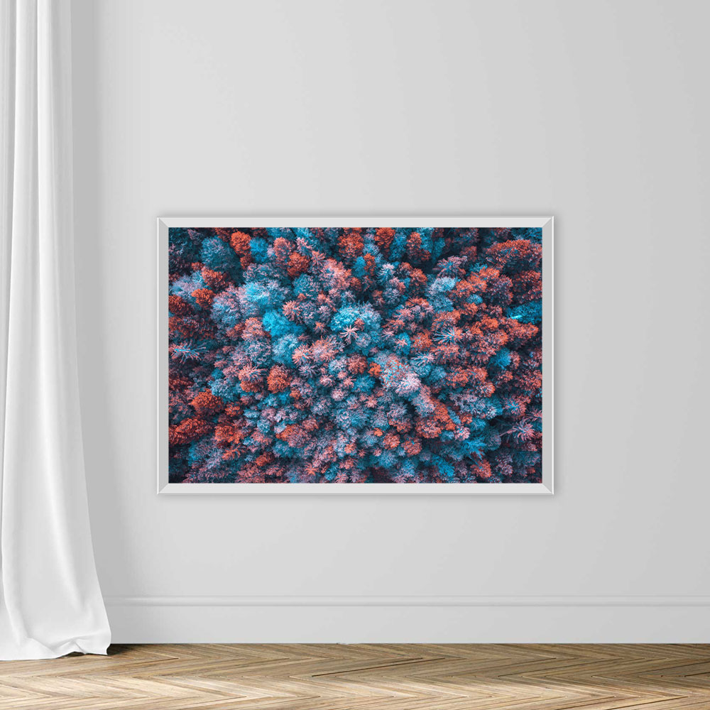 Colorful Forest - Image 2