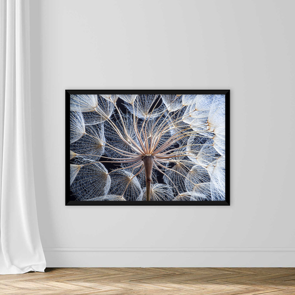 Dandelion - Image 3