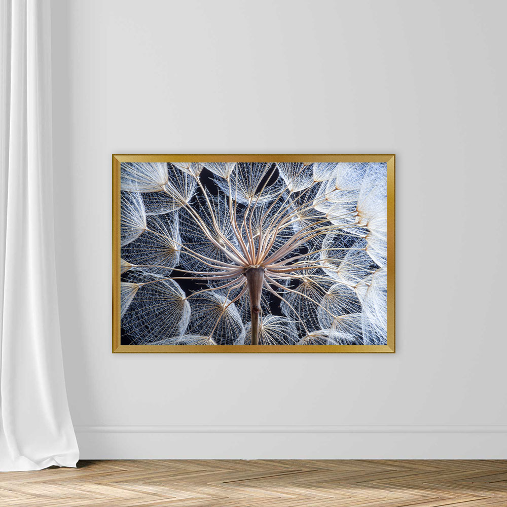Dandelion - Image 5
