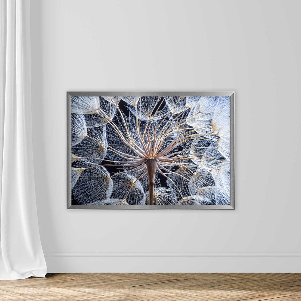 Dandelion - Image 4