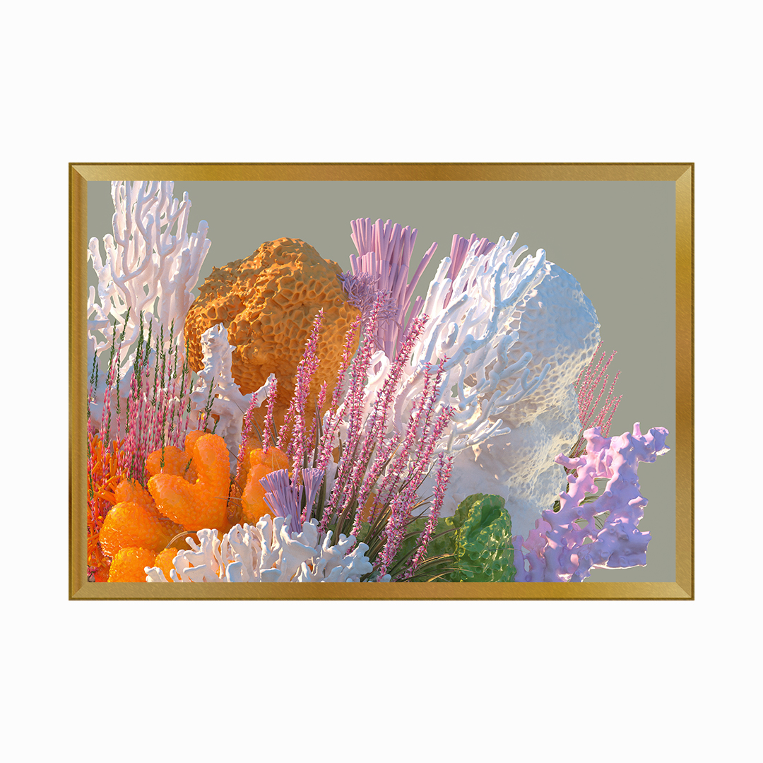 Corals - Image 5