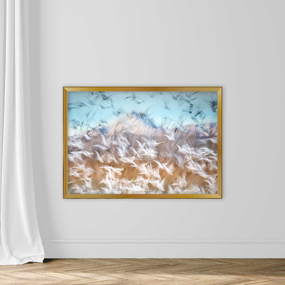 Blue Sky and Snow Geese Blur at Bosque Del Apache - Image 4