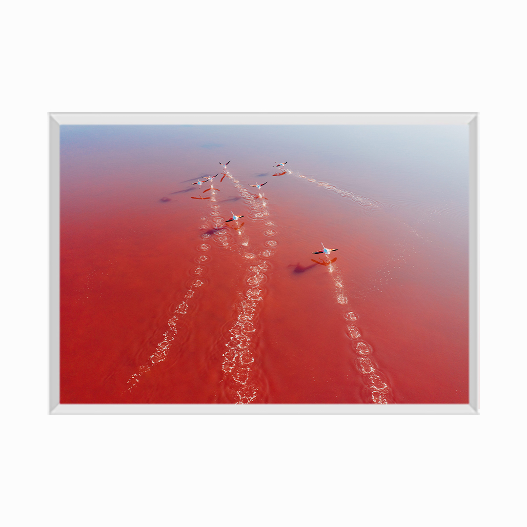Salt fields and mineral lakes