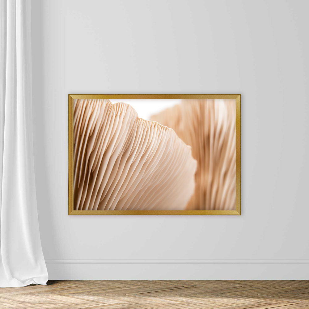 Macro Mushroom Pattern Abstract Soft Design - Image 5