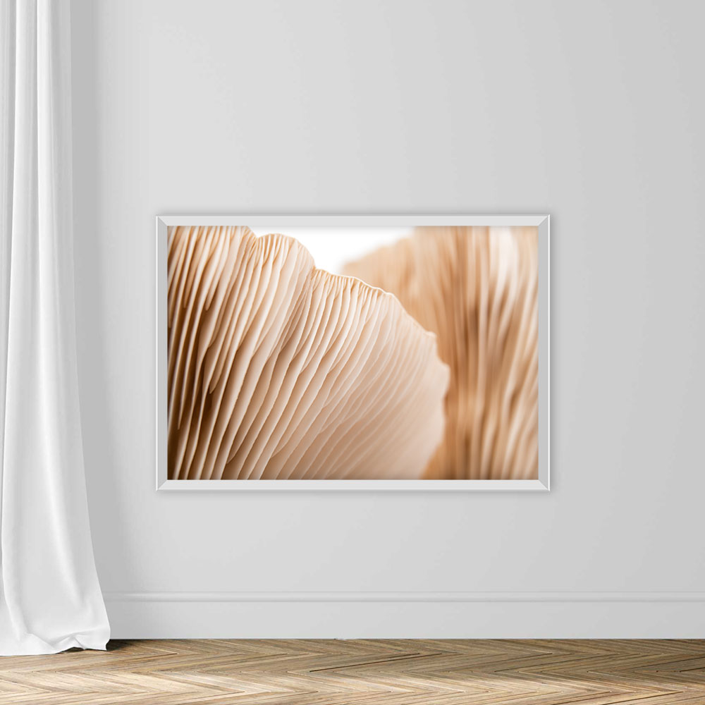 Macro Mushroom Pattern Abstract Soft Design - Image 2