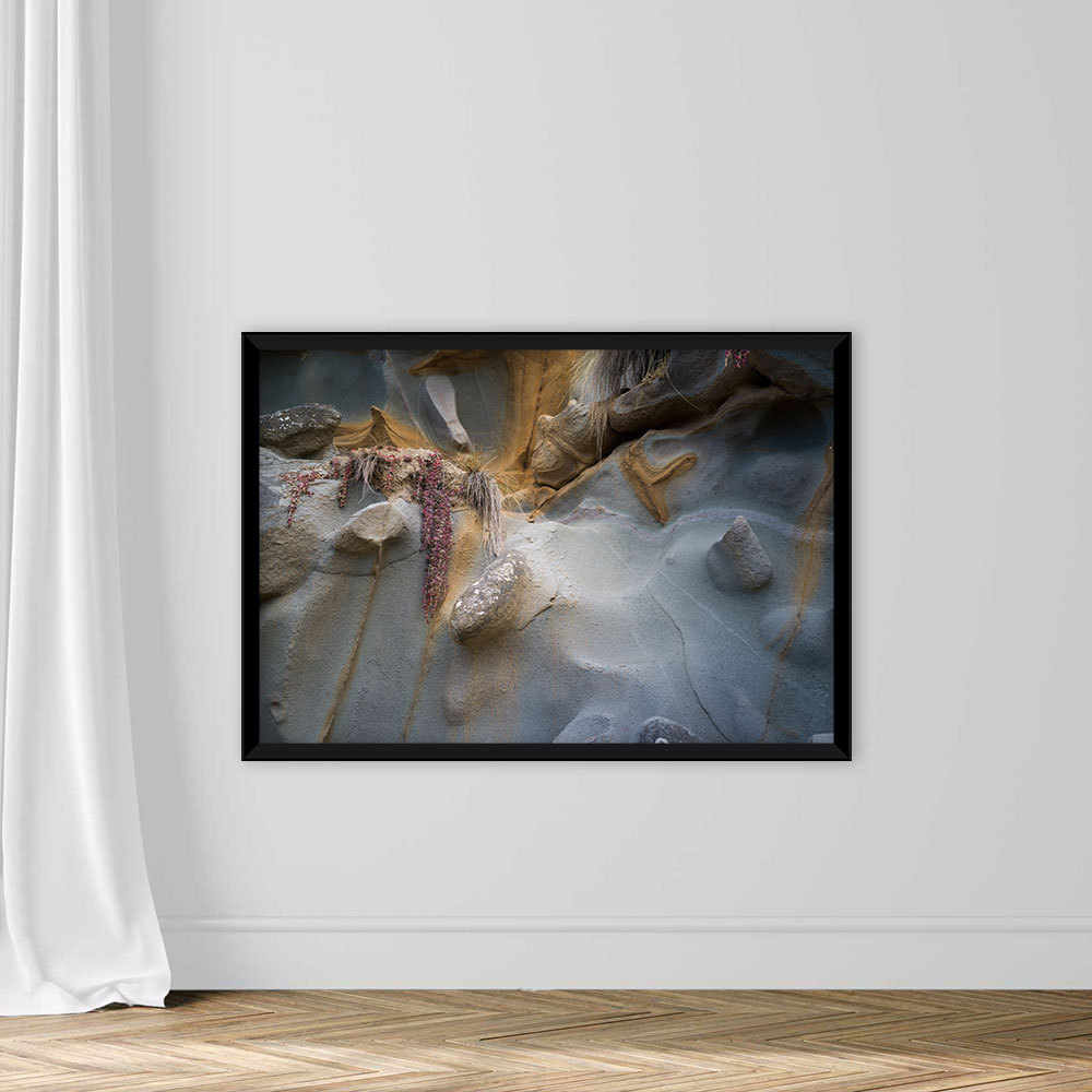 Crustacean and Marine Biology - Image 3