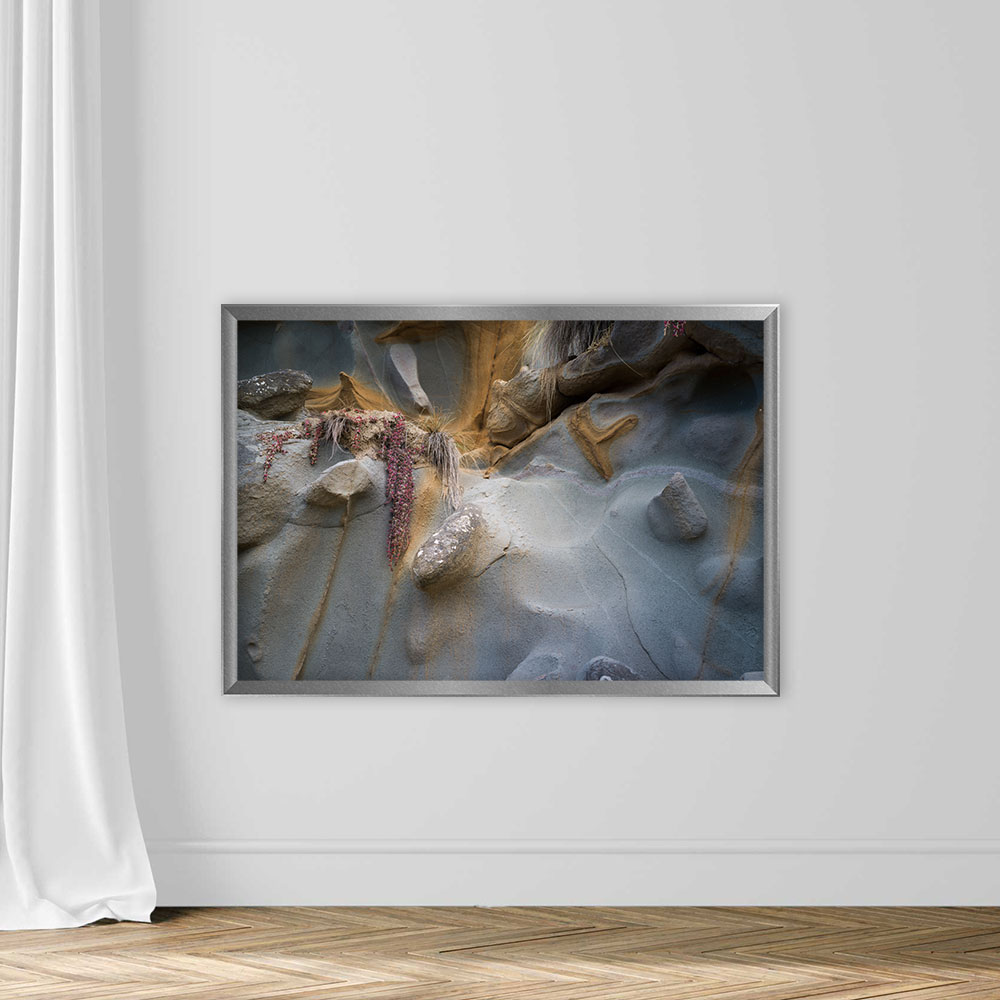 Crustacean and Marine Biology - Image 4