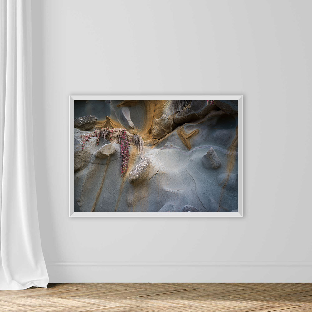 Crustacean and Marine Biology - Image 2