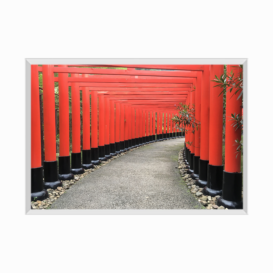 Corridor Of Building