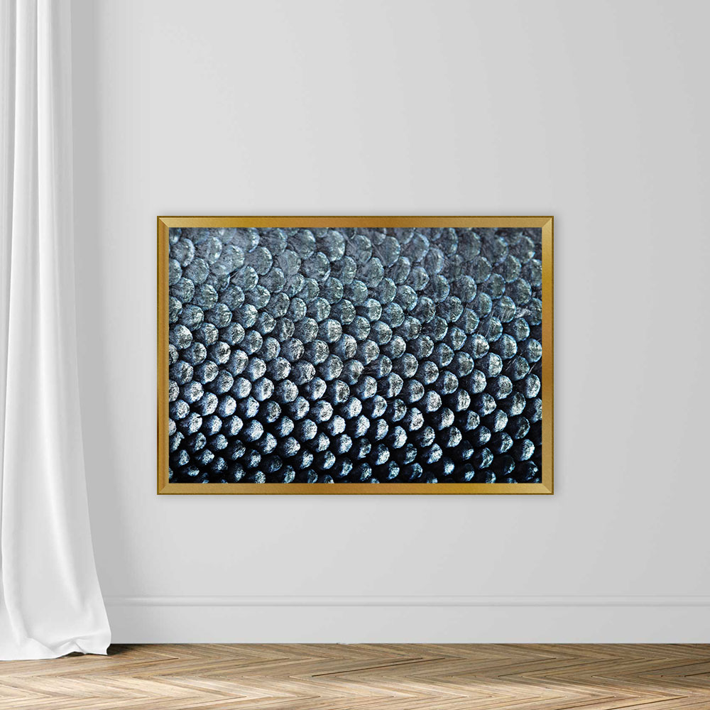 Salmon Scale - Image 5