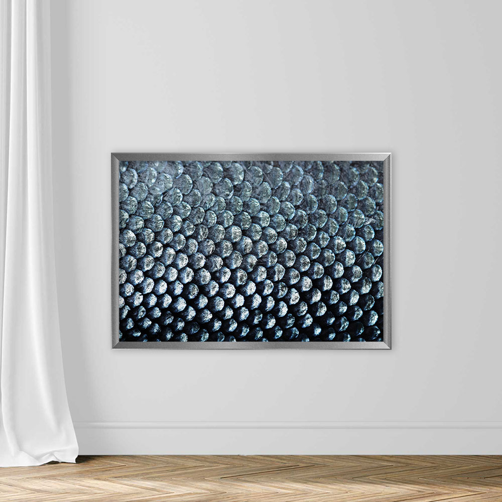 Salmon Scale - Image 4