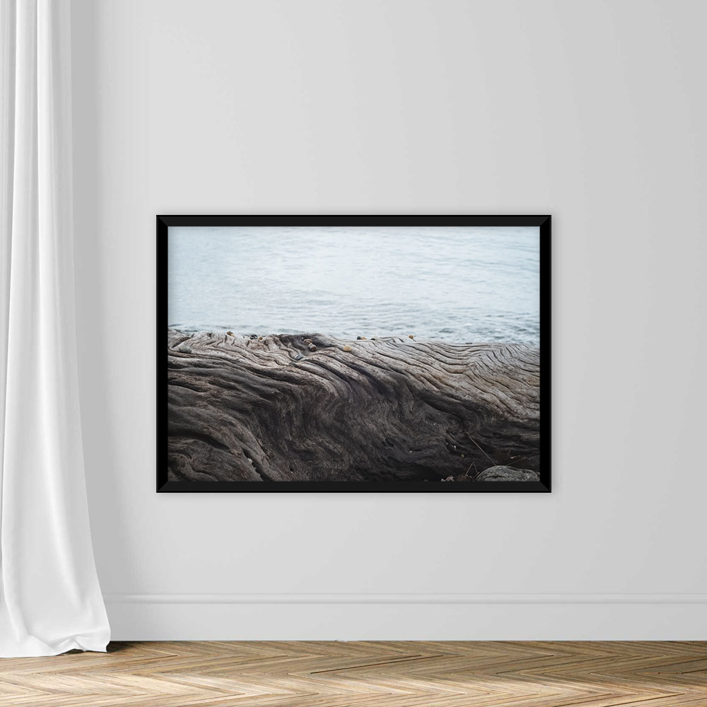 Close up view of tree trunk patterns. Sea background. - Image 3