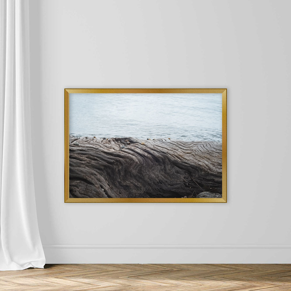 Close up view of tree trunk patterns. Sea background. - Image 5