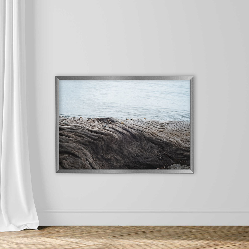Close up view of tree trunk patterns. Sea background. - Image 4
