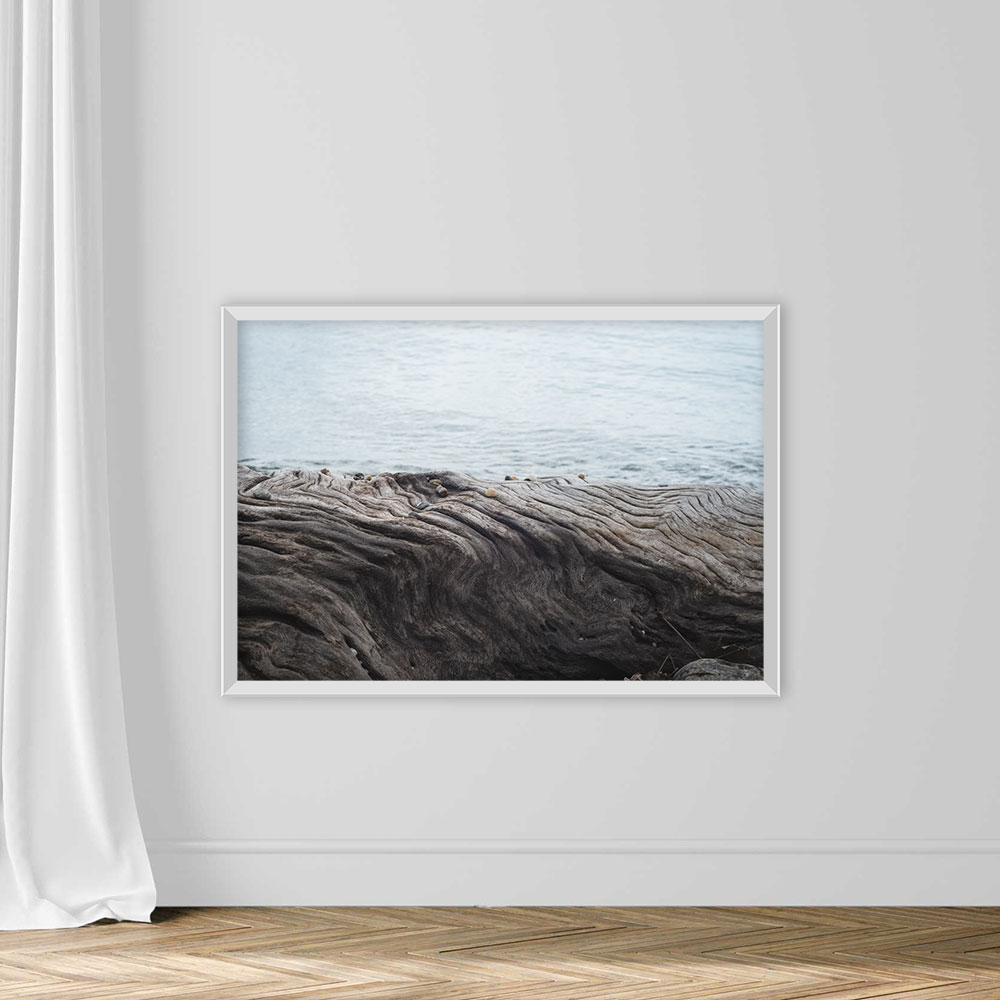 Close up view of tree trunk patterns. Sea background. - Image 2