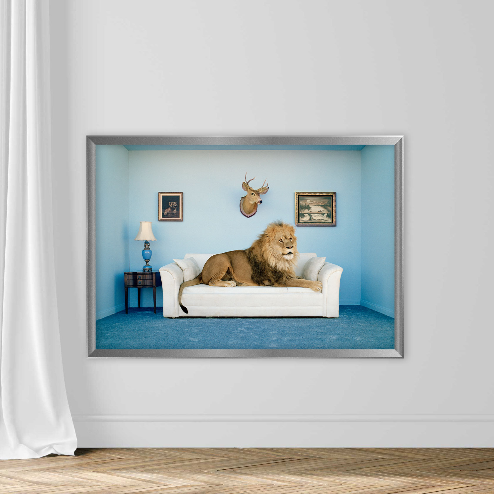 Lion lying on couch, side view - Image 4