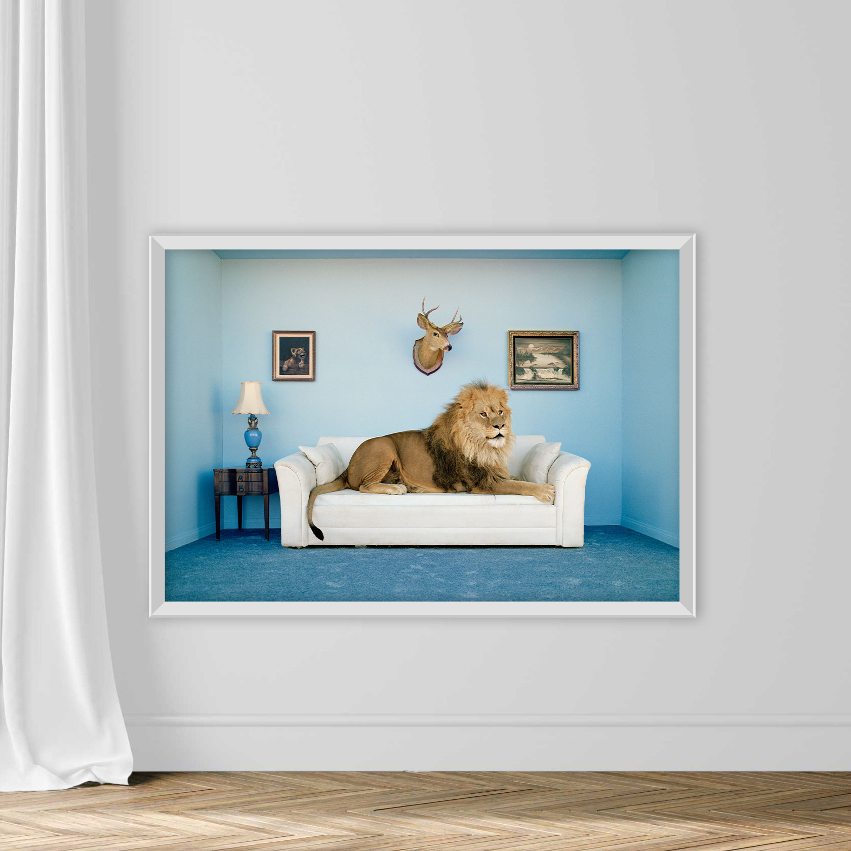 Lion lying on couch, side view - Image 2