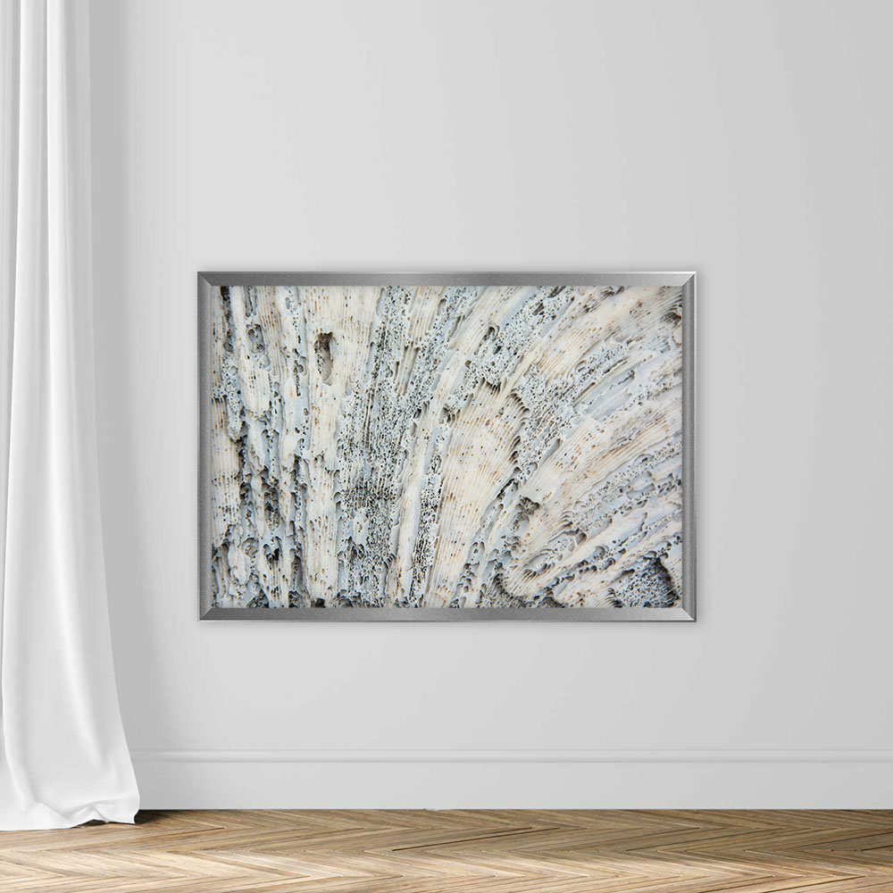 Texture Sea Coral in White And Black Points - Image 4