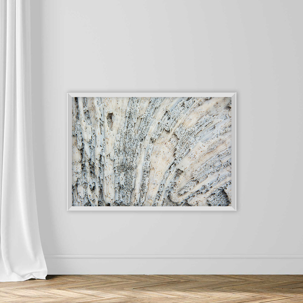 Texture Sea Coral in White And Black Points - Image 2