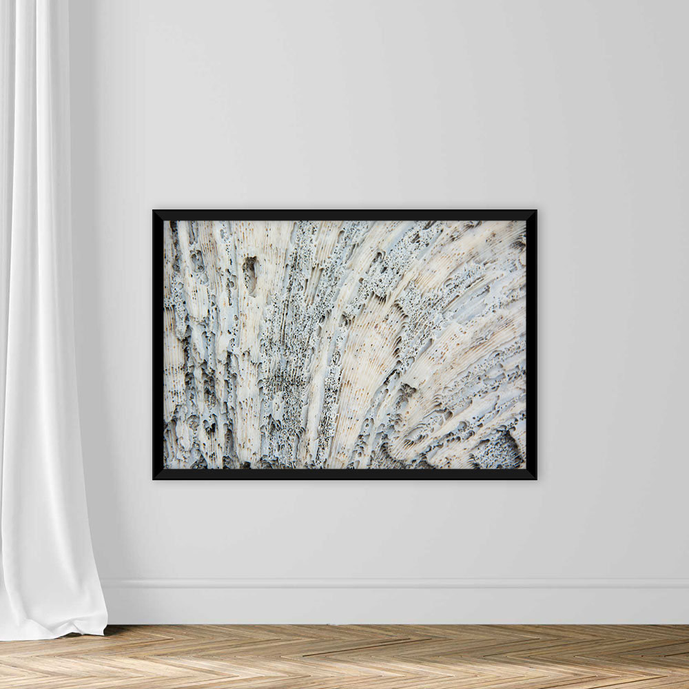Texture Sea Coral in White And Black Points - Image 3