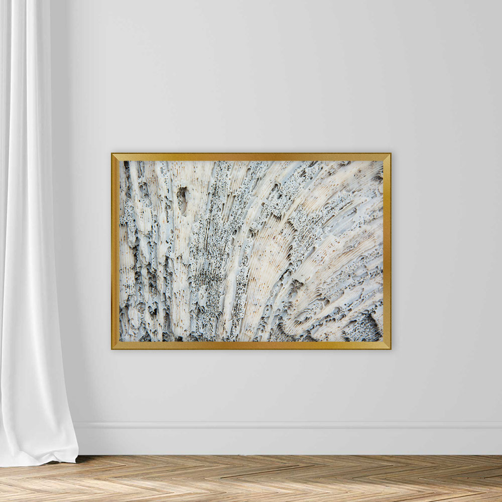 Texture Sea Coral in White And Black Points - Image 5