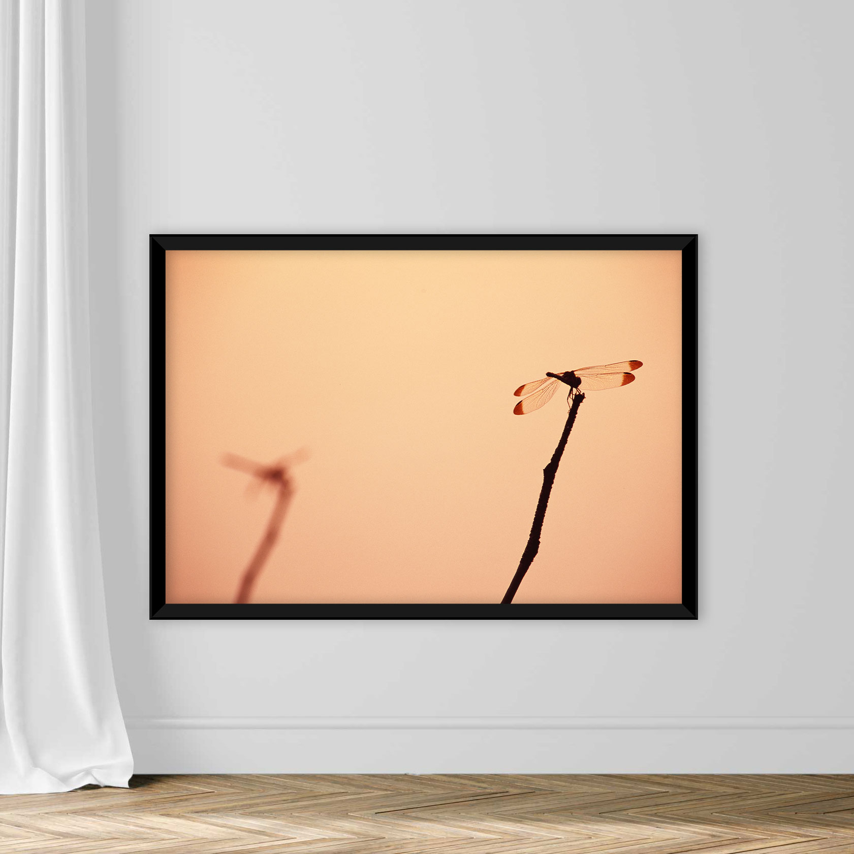 Dragonfly - Image 3