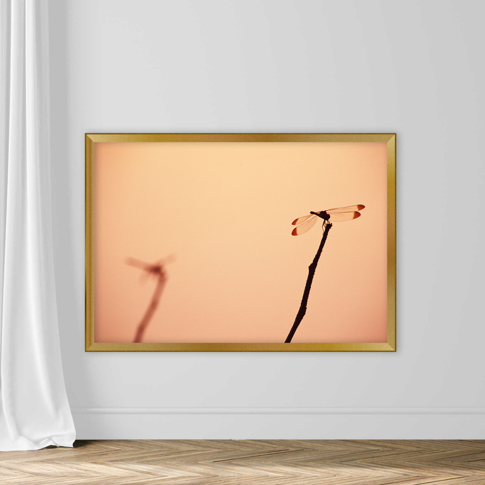 Dragonfly - Image 5