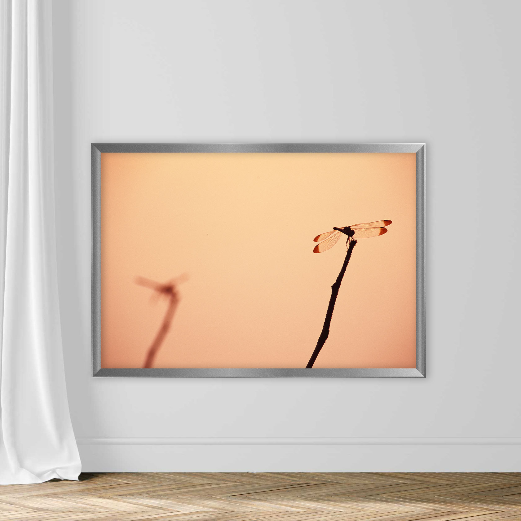 Dragonfly - Image 4