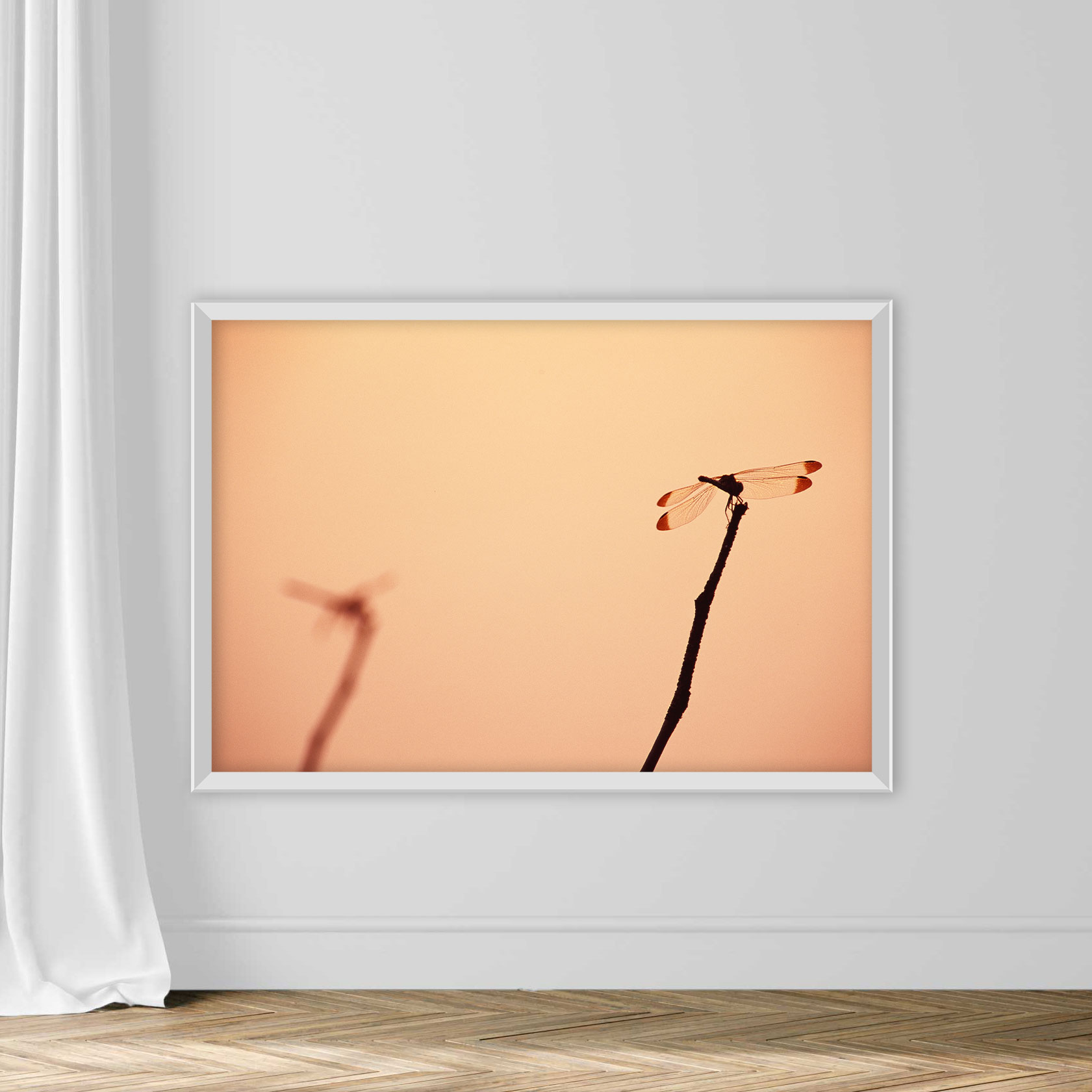 Dragonfly - Image 2