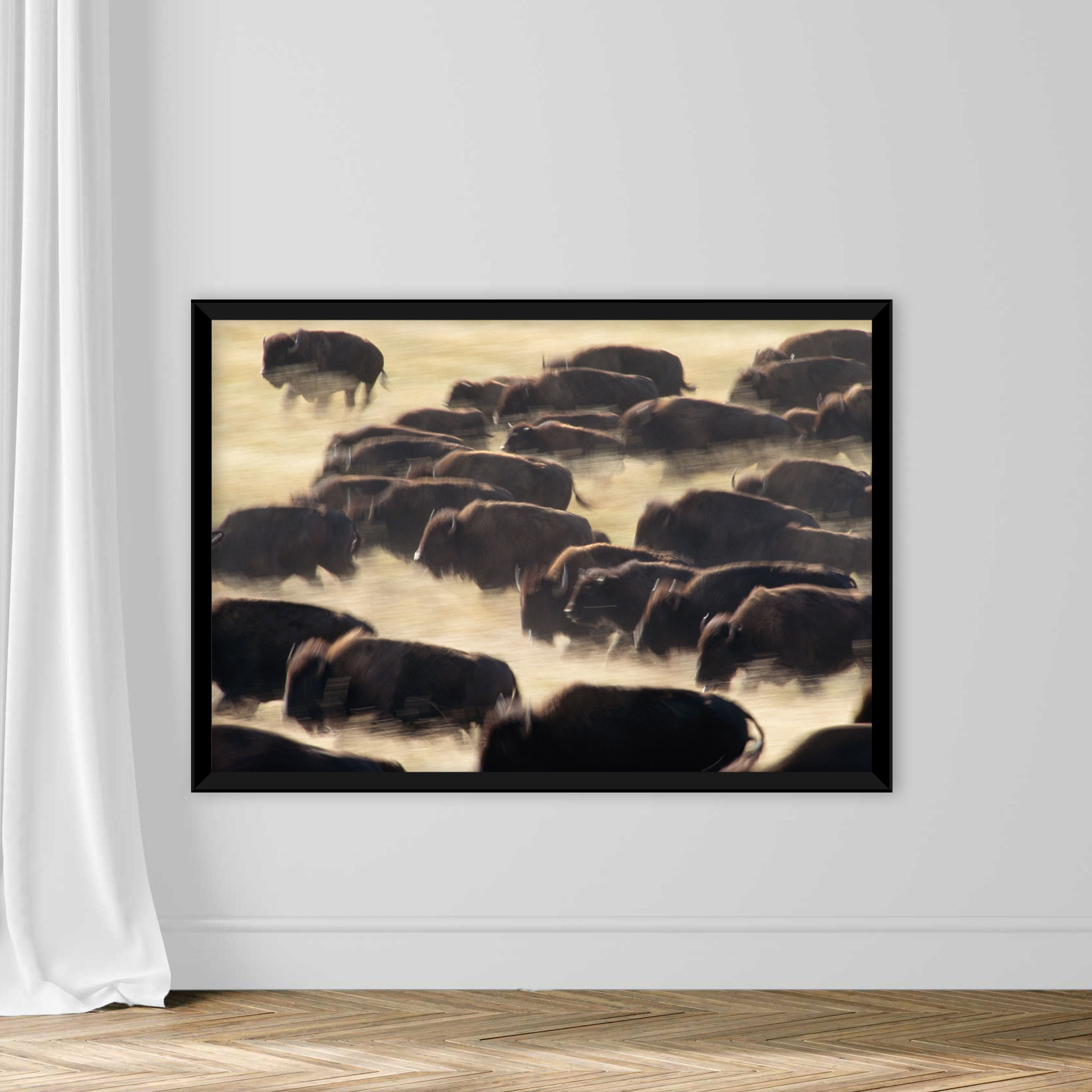 Bison Stampede - Image 3