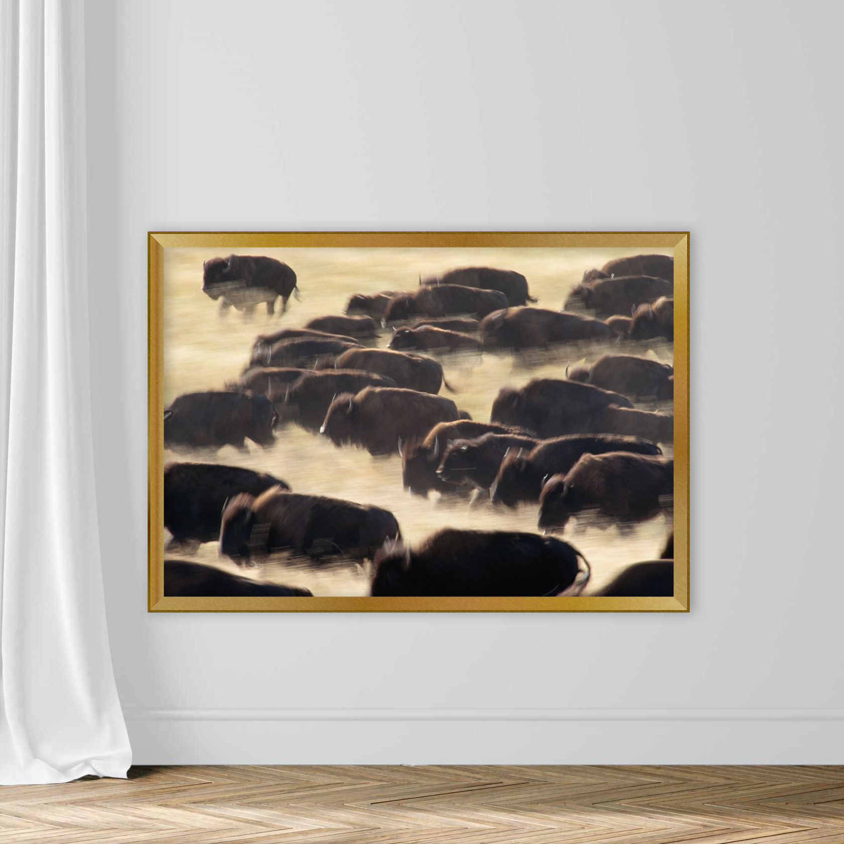Bison Stampede - Image 5