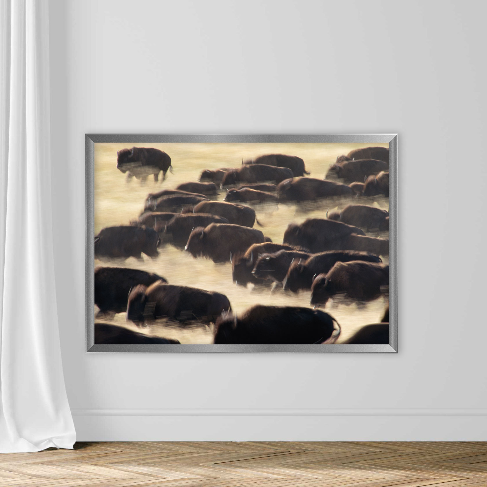 Bison Stampede - Image 4