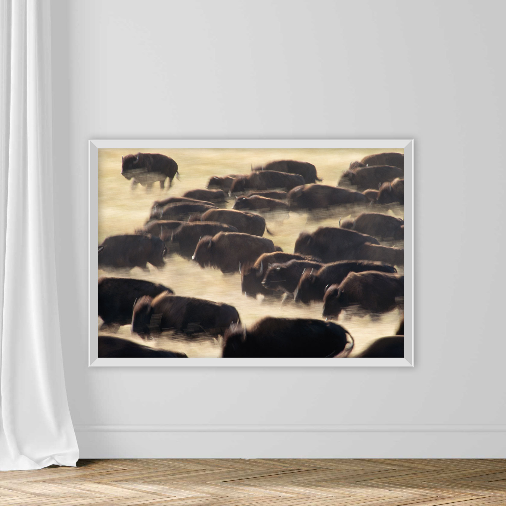 Bison Stampede - Image 2