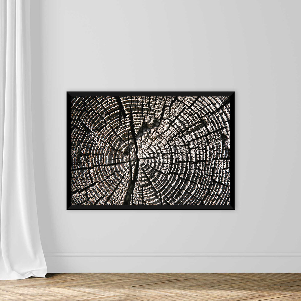 Wood Texture - Image 3